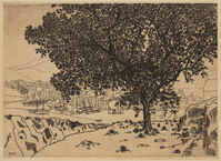 KG 09650
<br/>
Gezicht op de haven van Collioure
<br/>
<em>Bosch, Lodewijk Johannes (1894-1980)</em>